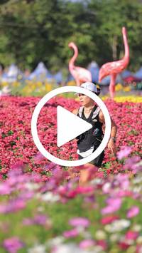 BIB:  <button type="button" onclick="openModal(27588497)" class="btn btn-primary btn-sm float-right" data-toggle="modal" data-target=".modal-high-quality">
                <i class="fa fa-download"></i> Download
                </button>